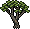 african_tree1