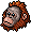 jungle_ltd16_orangutan