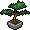 plant_bonsai
