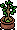 zengarden_c18_rootplant